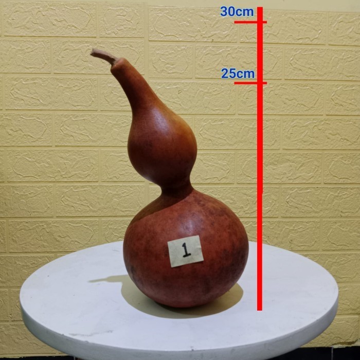 Labu botol Labu botol kering Labu botol china drunken master Bottle gourd Labu botol asli hulu asli