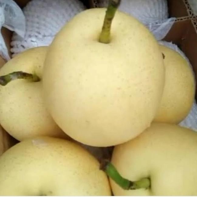 

New pear century buah 1kg