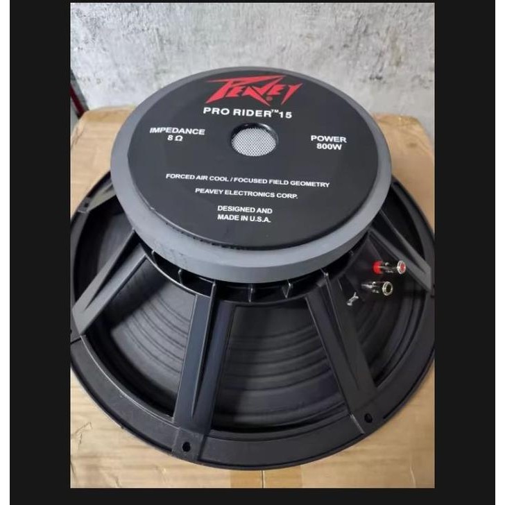 Speaker 15 Inch Peavey Pro Rider 800Wat