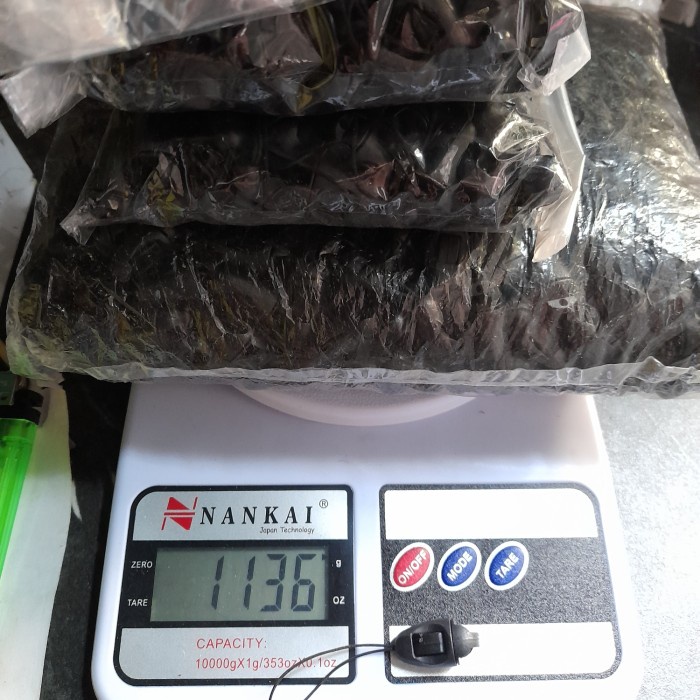 

1pack aksesoris tali kacamata - strap masker - tali lanyard - dllsbg