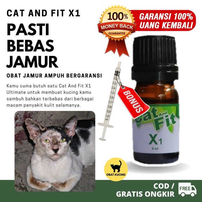 OBAT JAMUR KUCING AMPUH BANGET GARANSI CAT AND FIT X1 ULTIMATE KODE 752