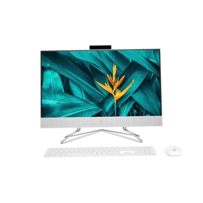 Pc Aio Hp 22 - Df0144D Intel Celeron J4025 4Gb Ssd 256Gb Win 11