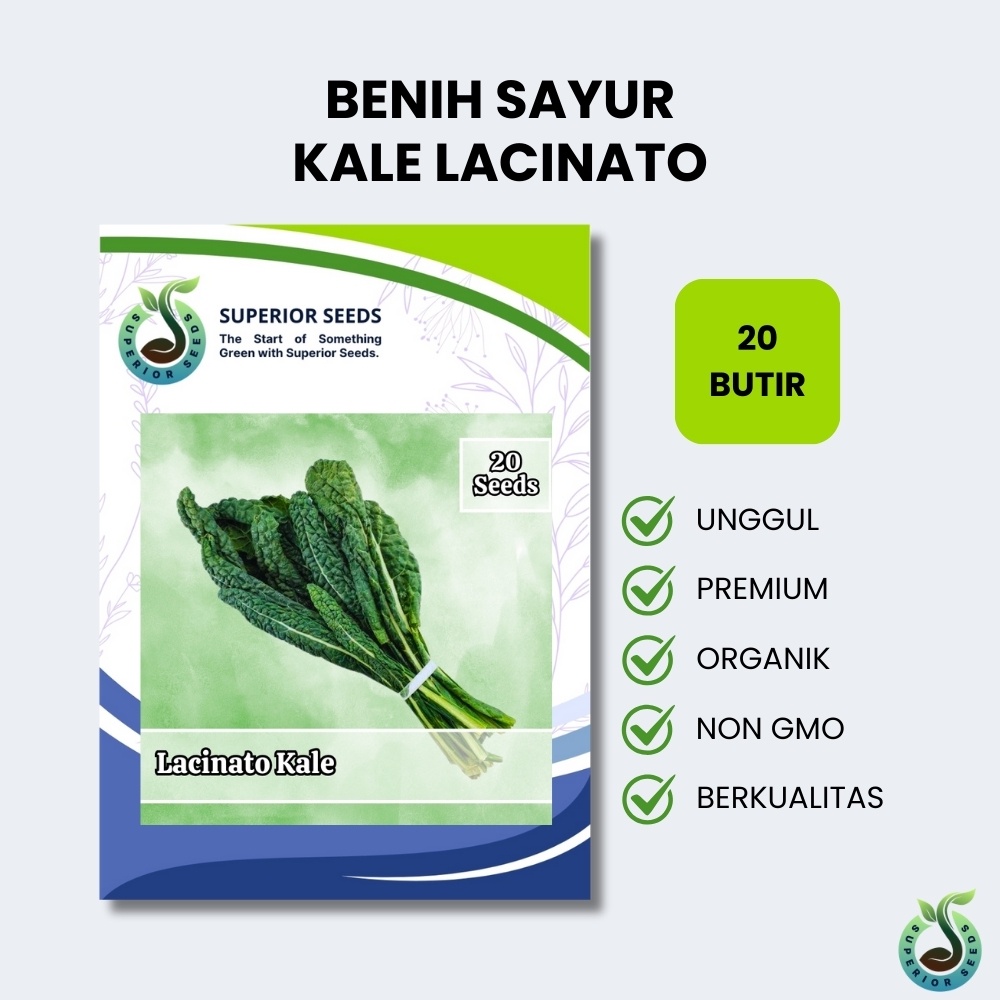 Biji Benih Sayuran Kale Lacinato (Superior Seeds)