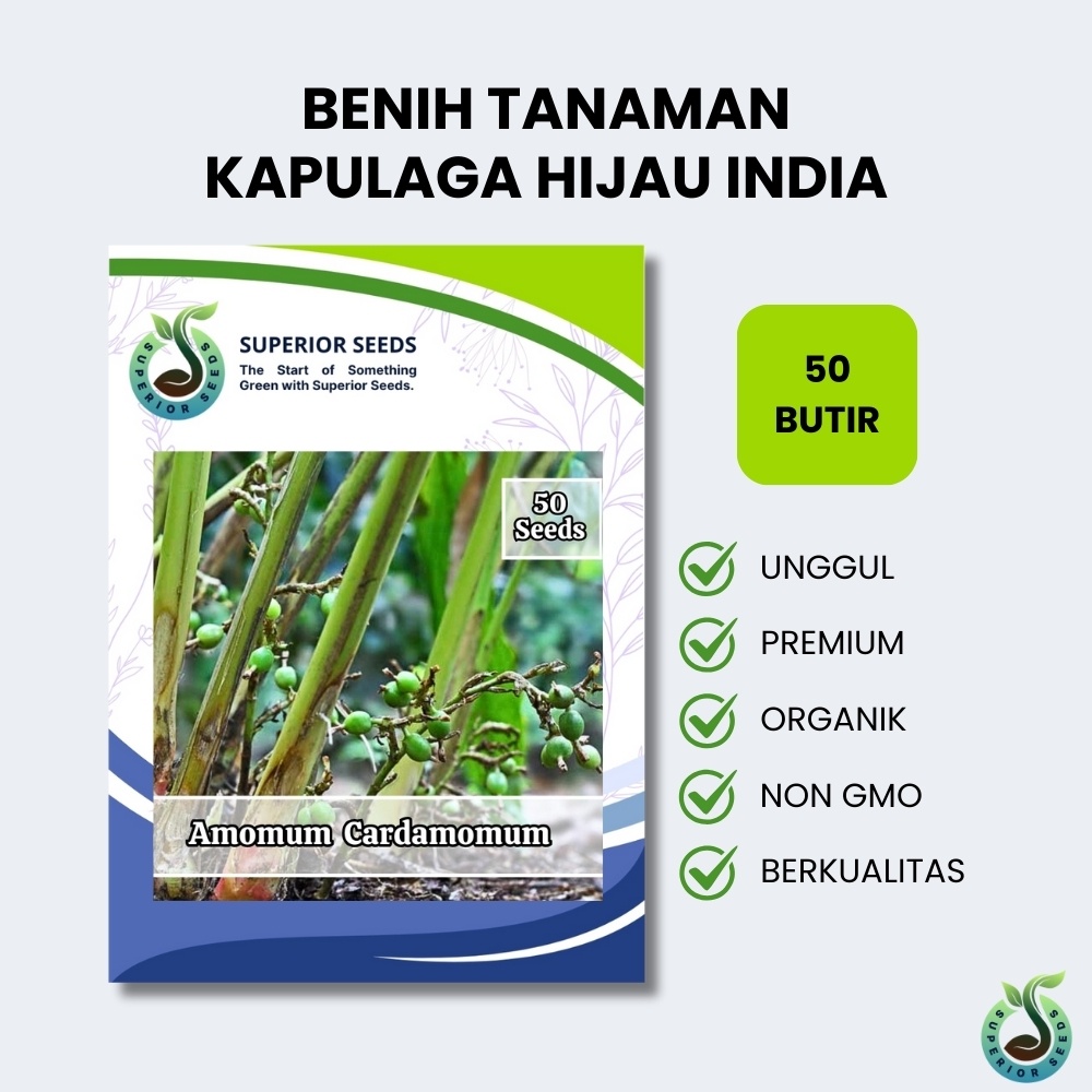 Biji Benih Kapulaga Hijau India (Superior Seeds)