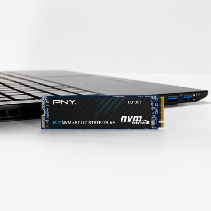 Ssd Pny Cs1031 M.2 Nvme 500Gb - Gen3X4