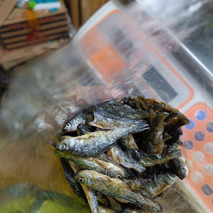 

Ikan Danau Bilis/Bilih Tawar Padang