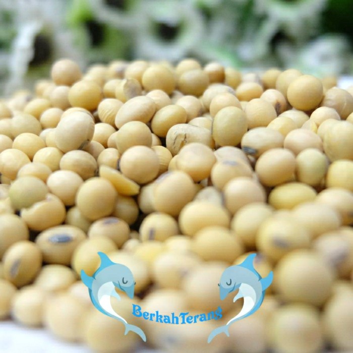 

Wdo - Kacang Kedelai 1Kg Super / Kacang Kedele