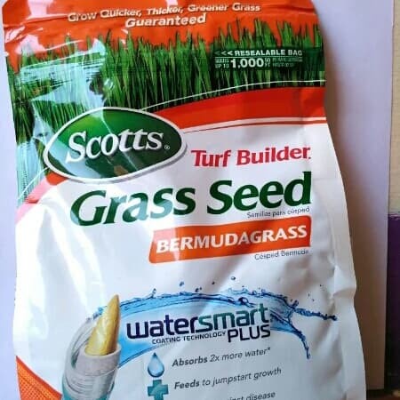 Benih Bibit Biji Rumput Bermuda Grass Seed untuk lapangan sepak bola