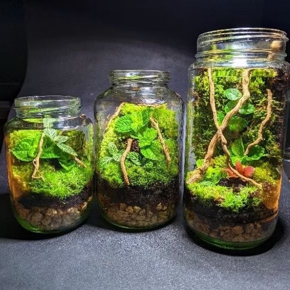 Promo TERRARIUM JAR KIT TERRARIUM TOPLES KIT Limited Edition