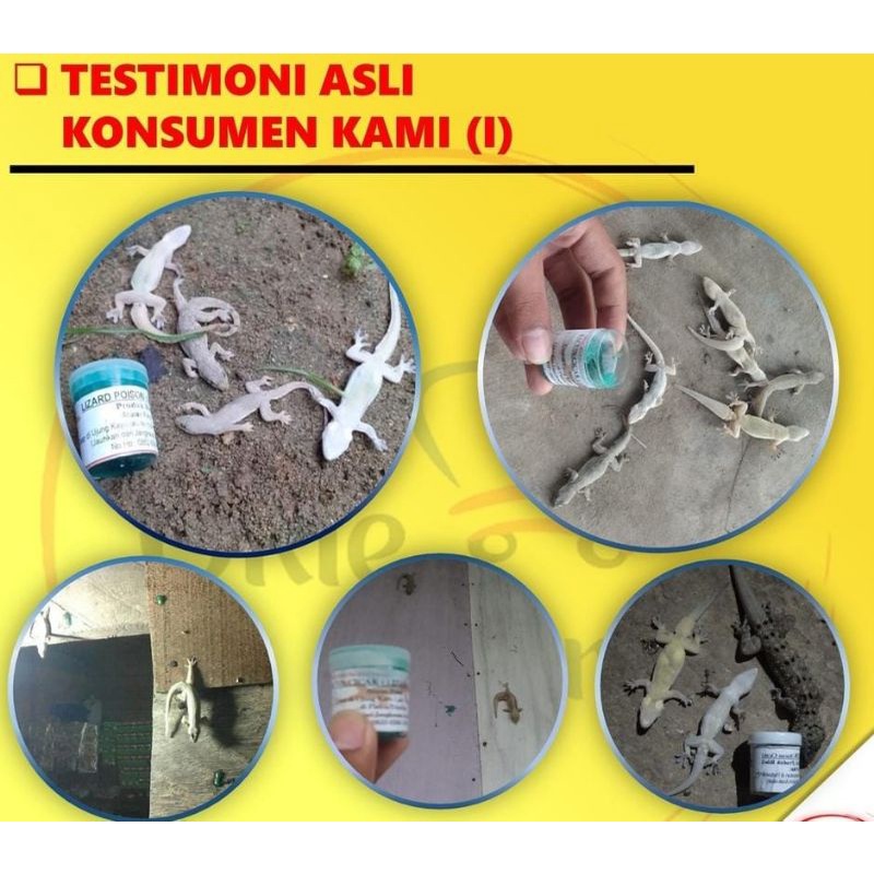 Diskon RACUN CICAK HERBAL ORIGINAL(LIZARD POISON) PALING AMPUH Limited Edition