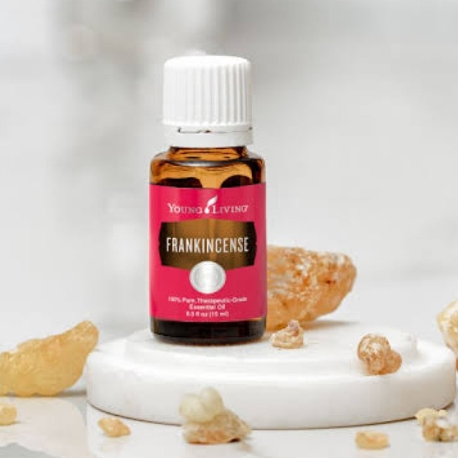 READY Frankincense essential oil YL 15ml