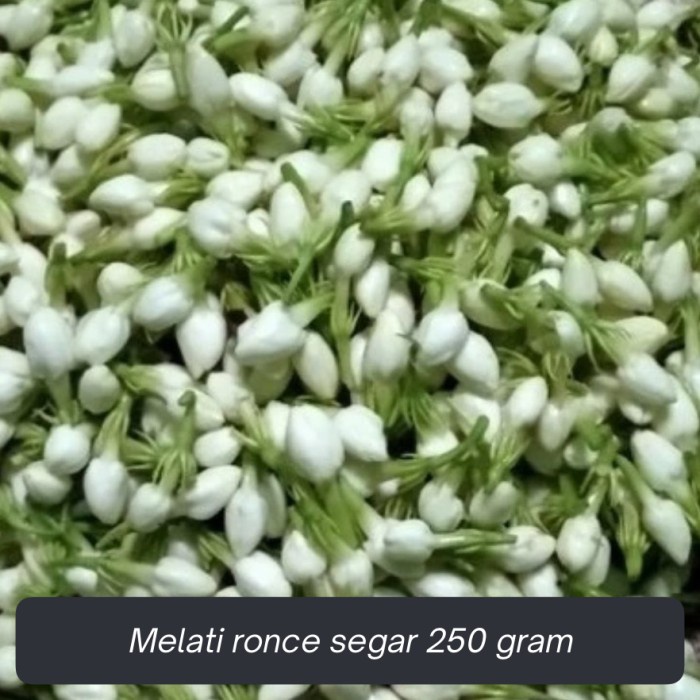 SALE !!! KEMBANG MELATI TABUR RONCE SEGAR 250 GR READYY
