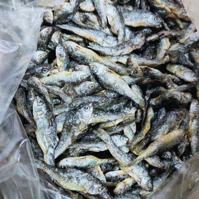 

Ikan Danau Bilis/Bilih Tawar Padang