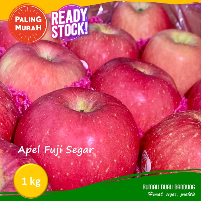 

Apel Fuji China Fresh 1 Kg