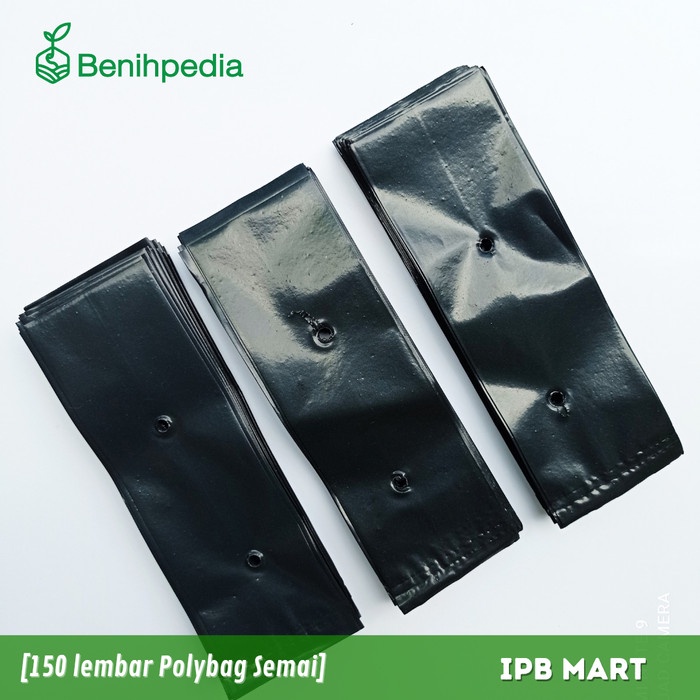 READY POLYBAG UKURAN KECIL UNT SEMAI BENIH
