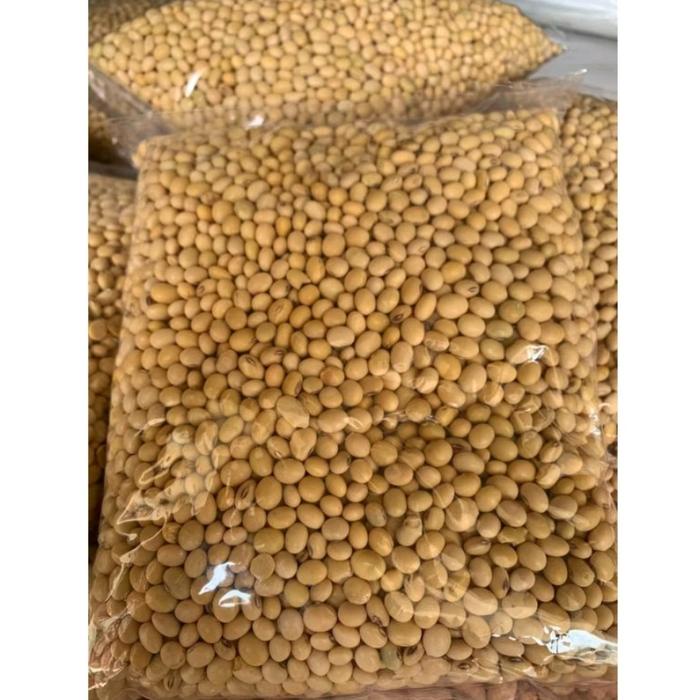 New 1 Kg Benih Kedelai Lokal Kacang Kedelai Grobogan Ready