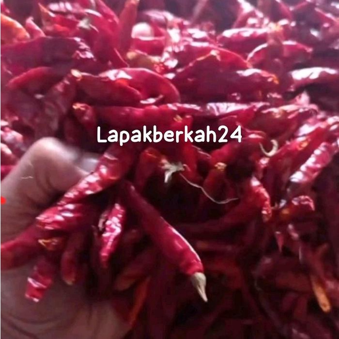 

kemasan ( 2.kg ) CABE RAWIT TEJA CAPLAK KERING SUPER PEDAS merah tanpa tangkai
