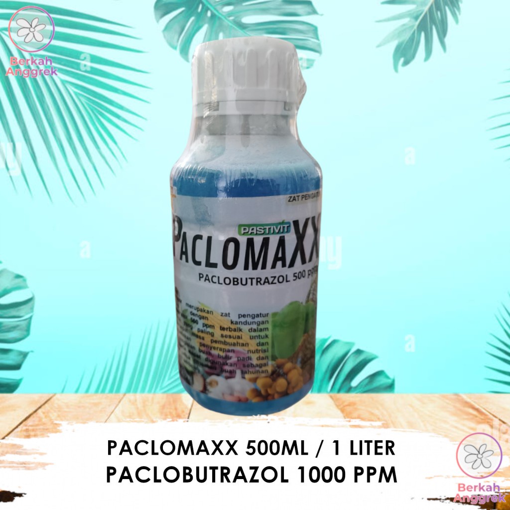 Paclobutrazol Murni 1000 ppm PaclomaXX Booster Pembuahan Luar Musim