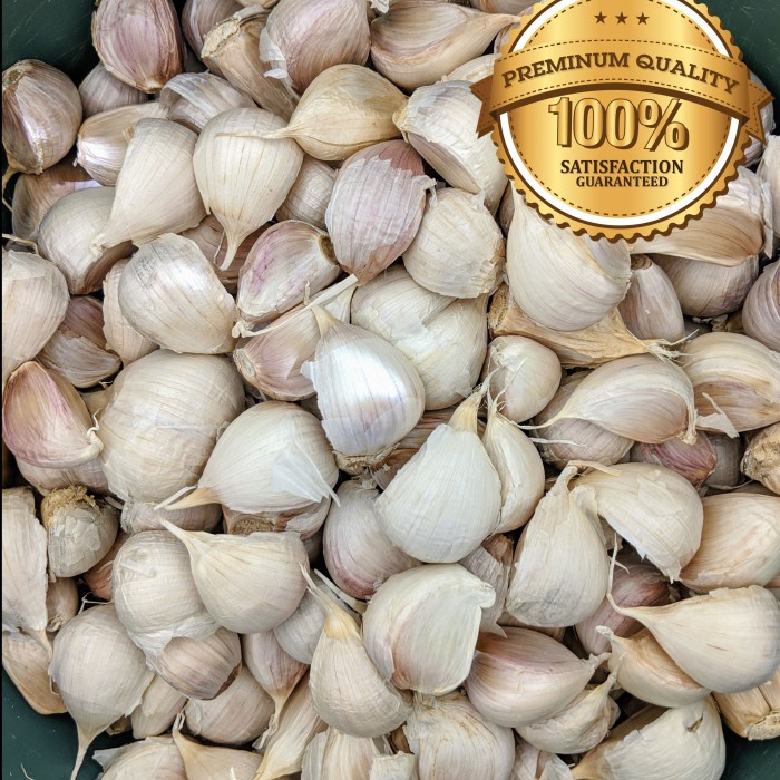 

Sale! Bawang Putih Kating