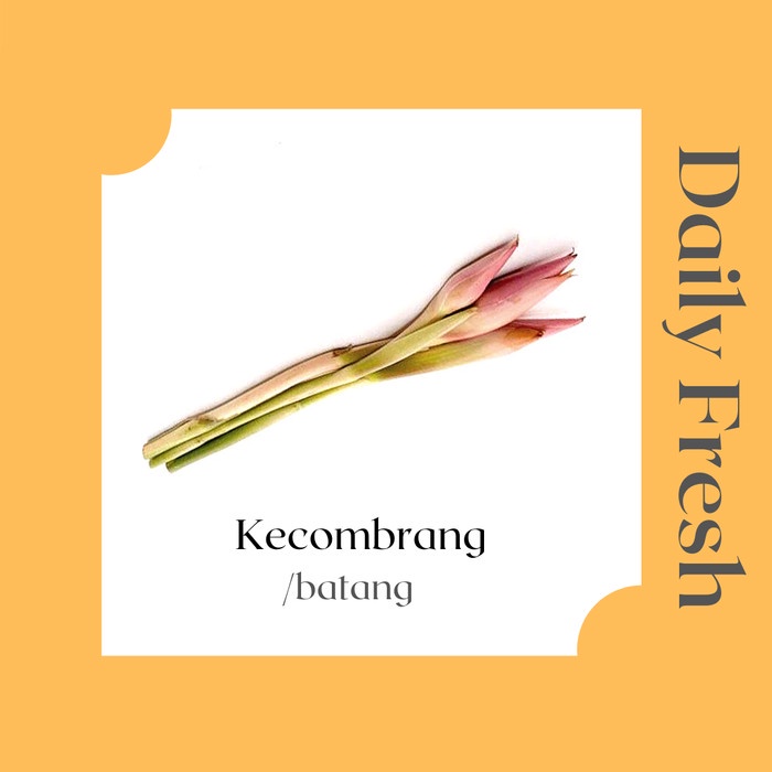 

Sale! Kecombrang Per Batang