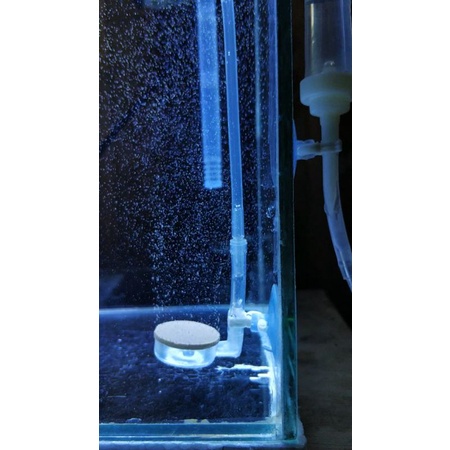 Co2 Aquacsape Co2 Cisod Diy Aquascape Full Set Siap Pakai Botol 1000 Ml/1L