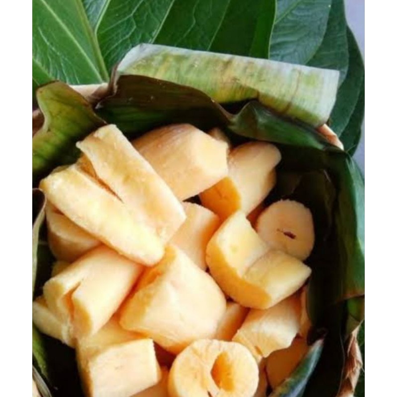 

tape singkong mentega 1,5 kg bikin ketagihan + TUTUP BESEK harga promo