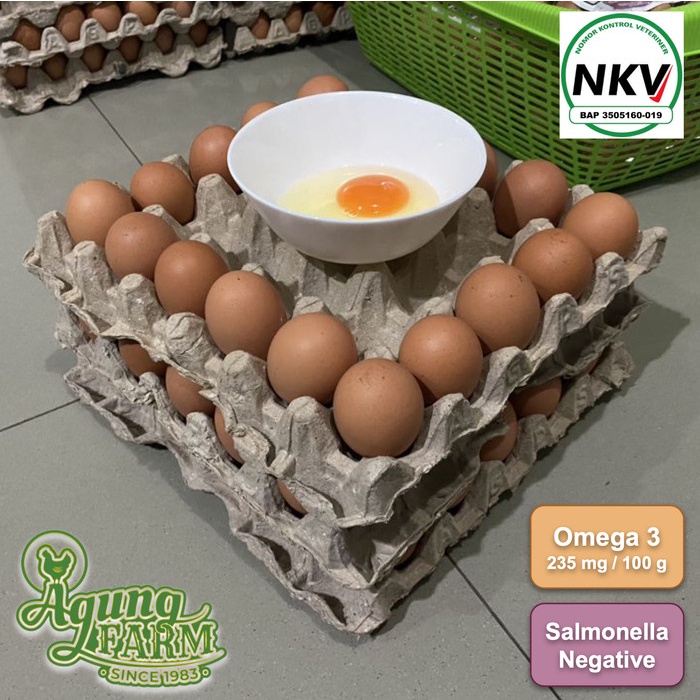 

Telur Omega 3 Curah per 5 kg dari Kandang NKV