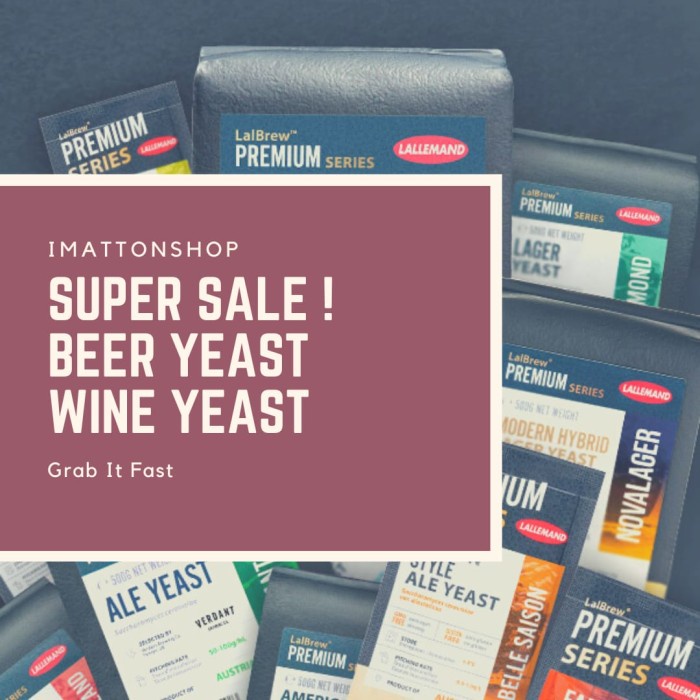 

Ready" Imatton Sale Yeast Ragi Fermentasi Jus Buah Beras Fermentis Lallemand