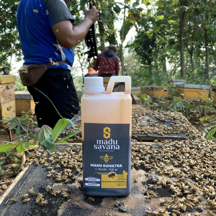 

BARANG TERLARIS Madu Savana [Madu Sumatra 900gram] Organik Pure Raw Honey