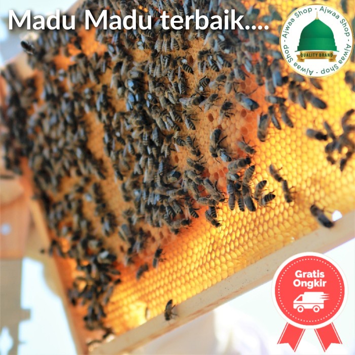 

BARANG TERLARIS Madu Yaman Mara'i 500 gram
