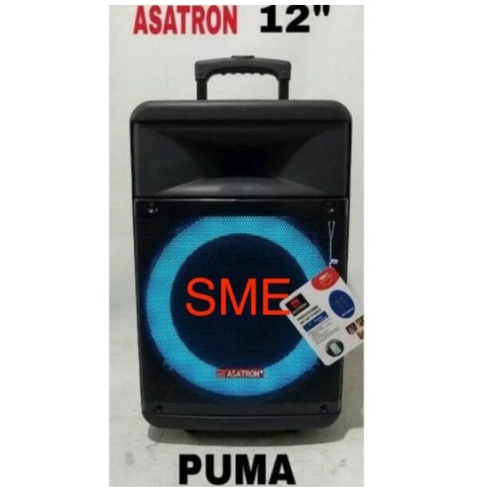 Speaker Portable Meeting Wireless Asatron Puma 12 Inch