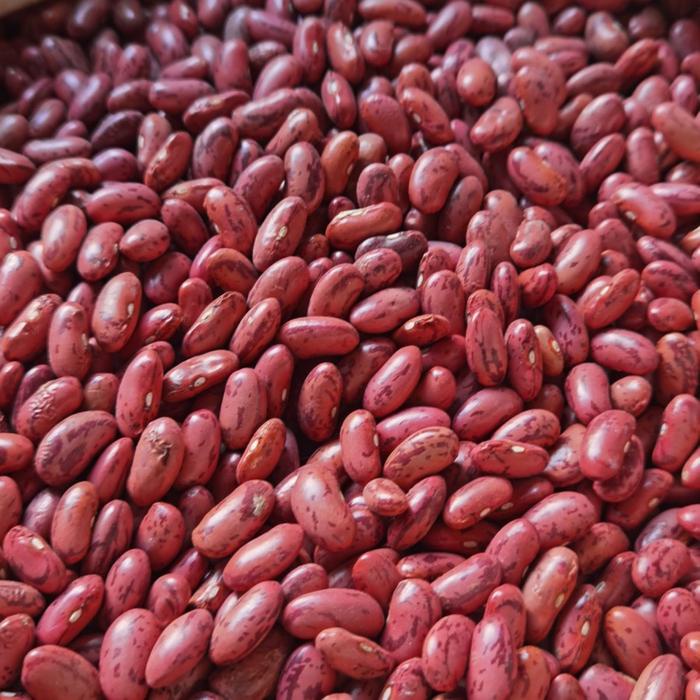 

SALE !!! KACANG MERAH JOGO SEGAR 1 KG MASAKAN BAHAN ORGANIK READYY
