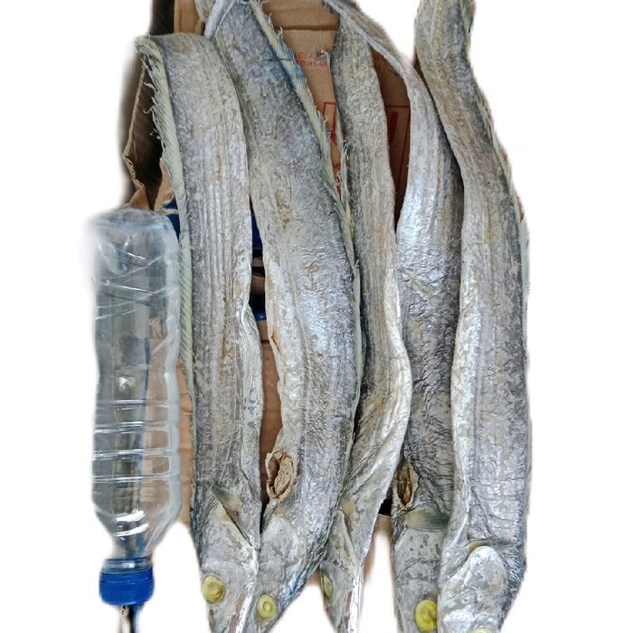 

ikan baledang layur asin jumbo kering Food