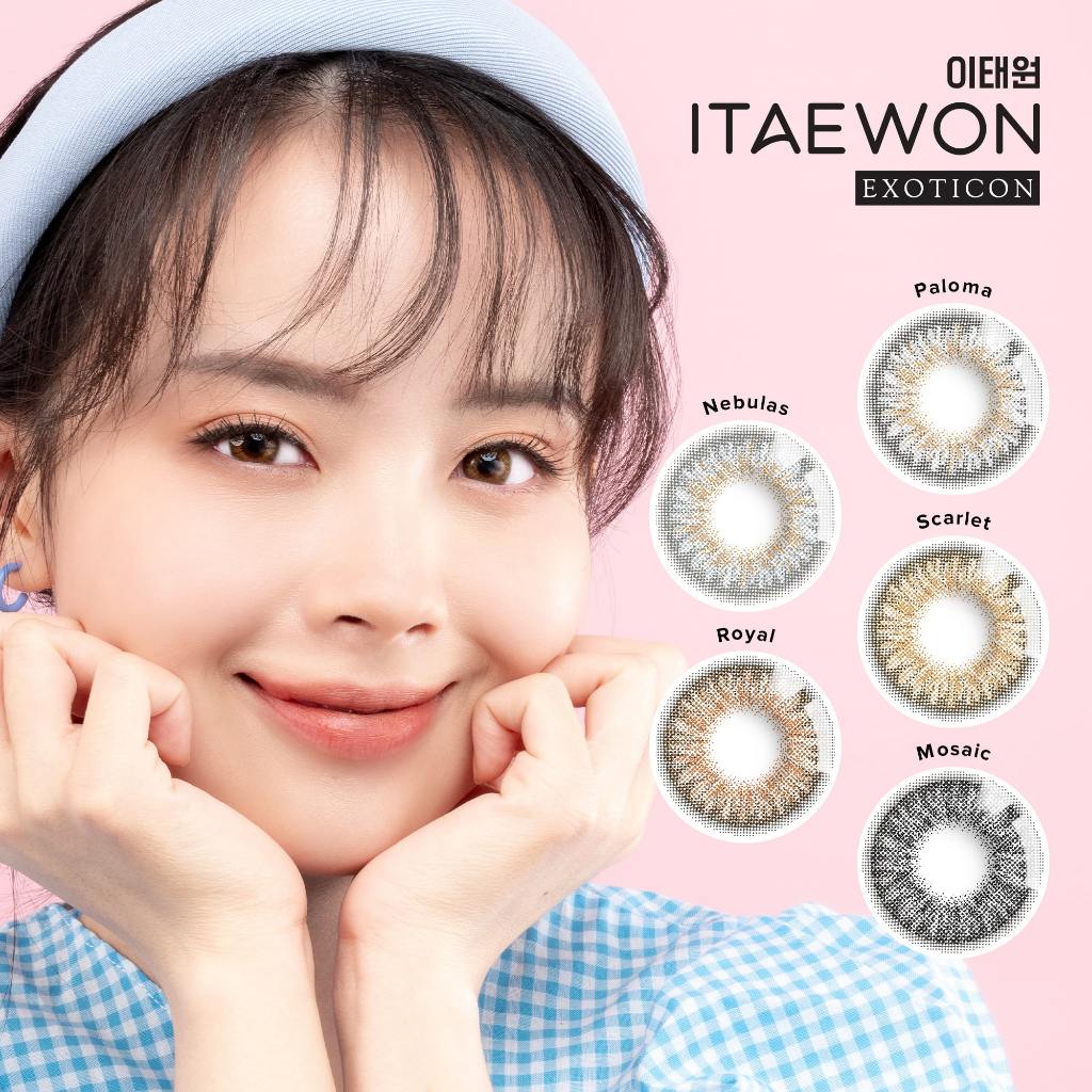 Softlens ITAEWON by Exoticon