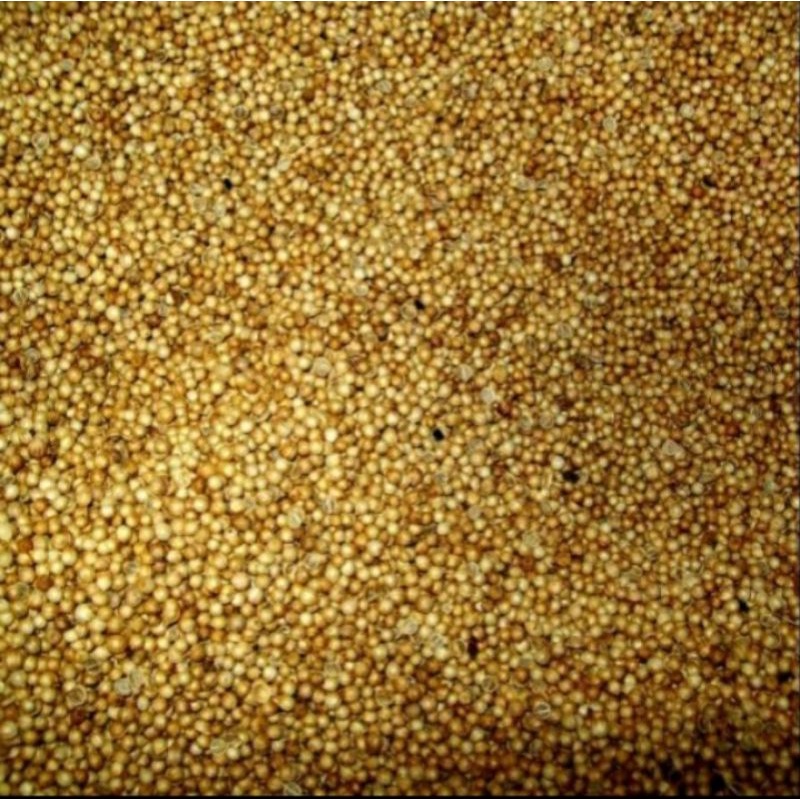 

HJE Ketumbar per 250 gram