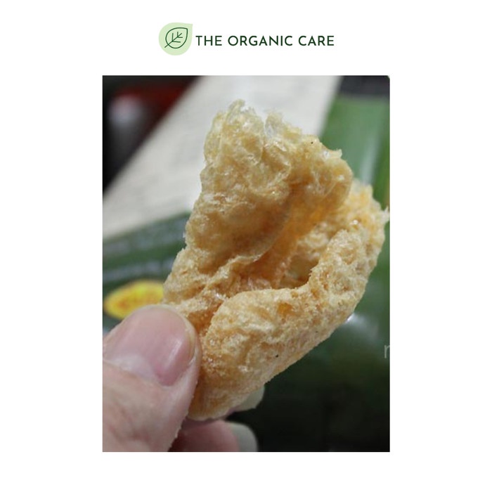 

SALE !!! WILD WILLY'S SALTED CHICARON RAMBAK KRUPUK BABI KETO GOJEK / GRAB READYY