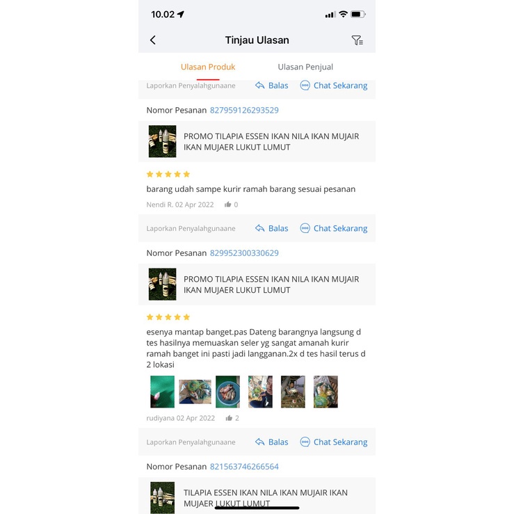 ORIGINAL PROMO TILAPIA ESSEN IKAN NILA IKAN MUJAIR MUJAER LUMUT LUKUT