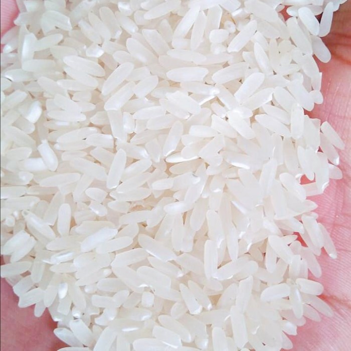 

HJK Beras Putih Pulen Ciparay I Kemasan Repack 2 kg