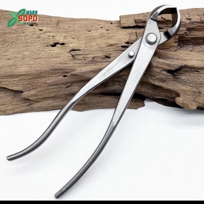 Promo Terbatas Catok Cembung Tanaman Bonsai Import 21 Cm Aman