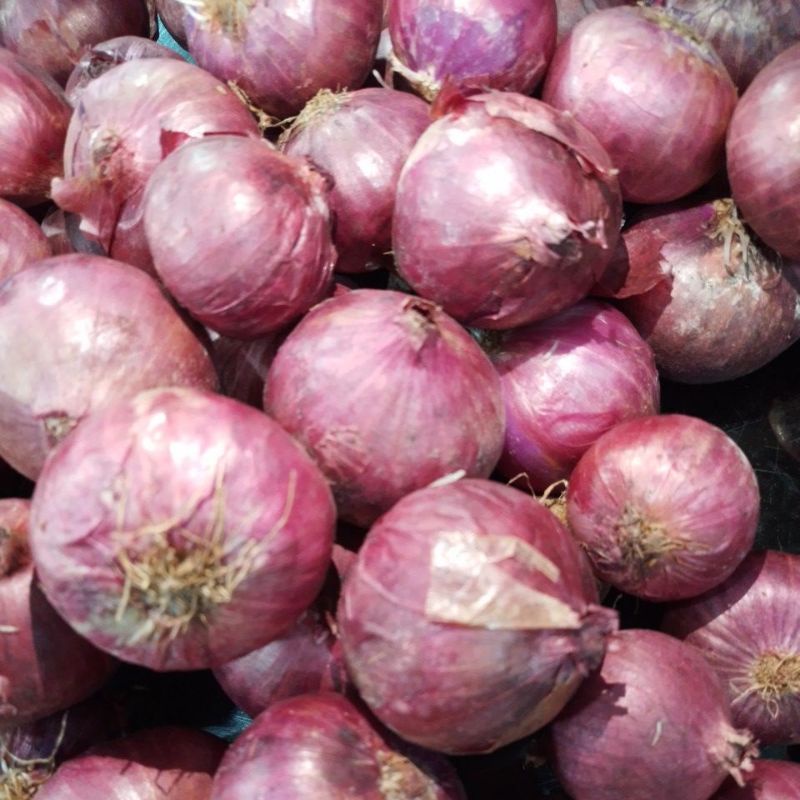 

BAWANG MERAH PEKING FRESH 1KG