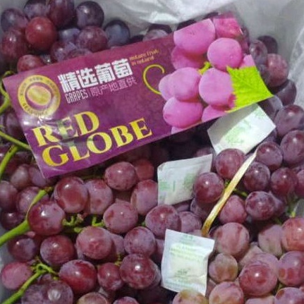 

Anggur Red Globe Fresh Pack