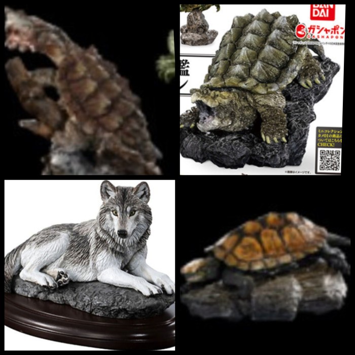 Sale Terbatas Ikimono Figure Collection Alligator Snapping Turtle Wolf Mata Mata Kura Batu Capsule