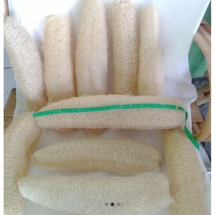 sabut gambas / serat oyong kering / serabut emes kering / luffa sponge