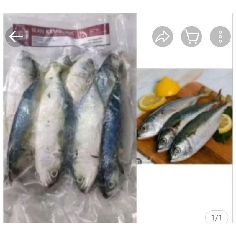 

IKAN KEMBUNG FROZEN 1 KG