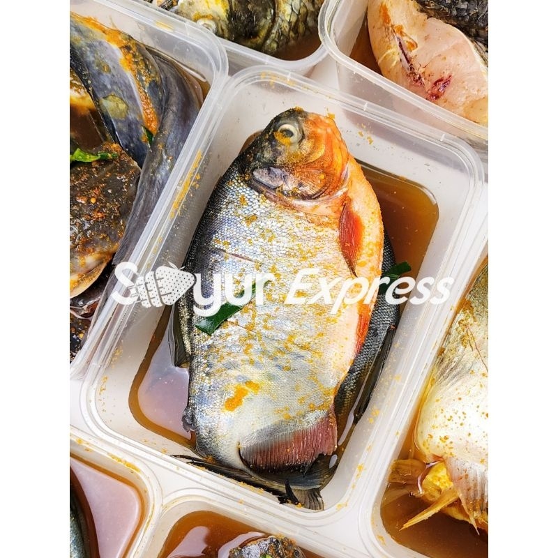 

KIRIM INSTAN Ikan Bawal Bumbu Kuning 2 ekor
