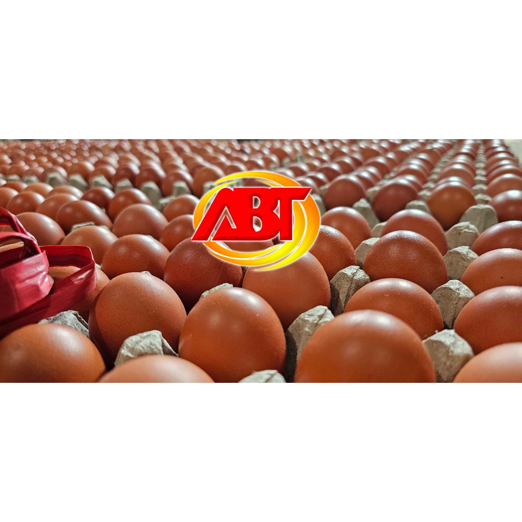 

ABT - Telur Ayam Negeri 1 Tray (Isi 30 Butir, 1800-1900gram)