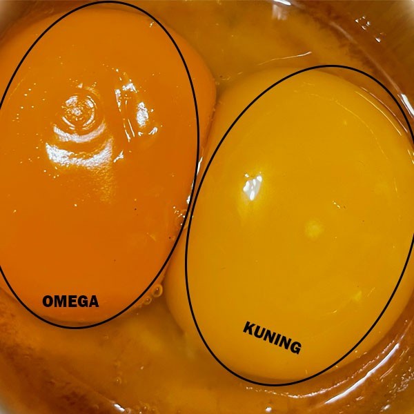 

[GRADE A] TELUR KAMPUNG OMEGA (30 BUTIR)