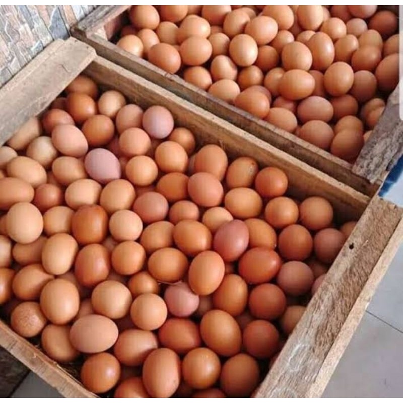 

Telur Ayam Negri 15kg (INSTANT ONLY)