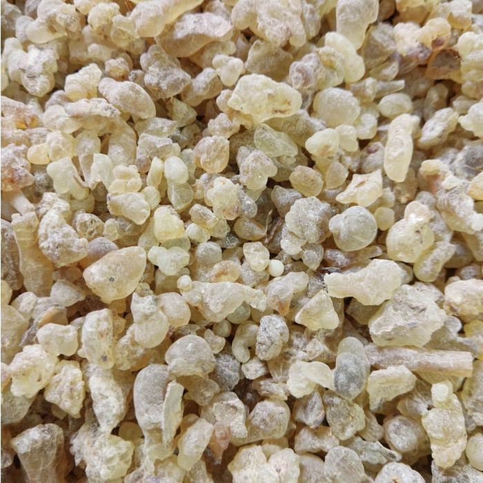 

lubban minum/lubban shofi import yaman untuk kecerdasan dan daya ingat