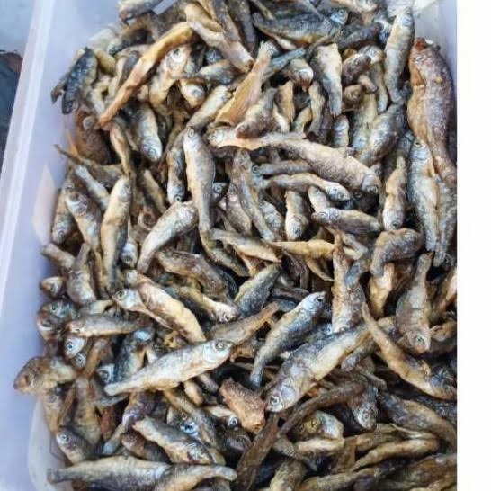 

ikan bilis